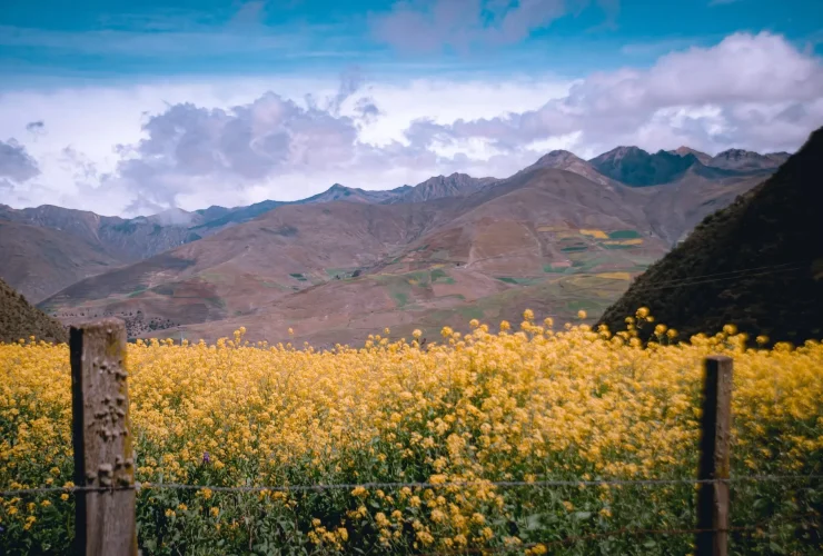 Venezuela